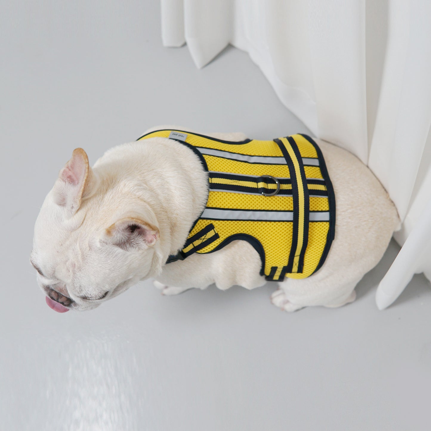 SUPPORT 3M HARNESS