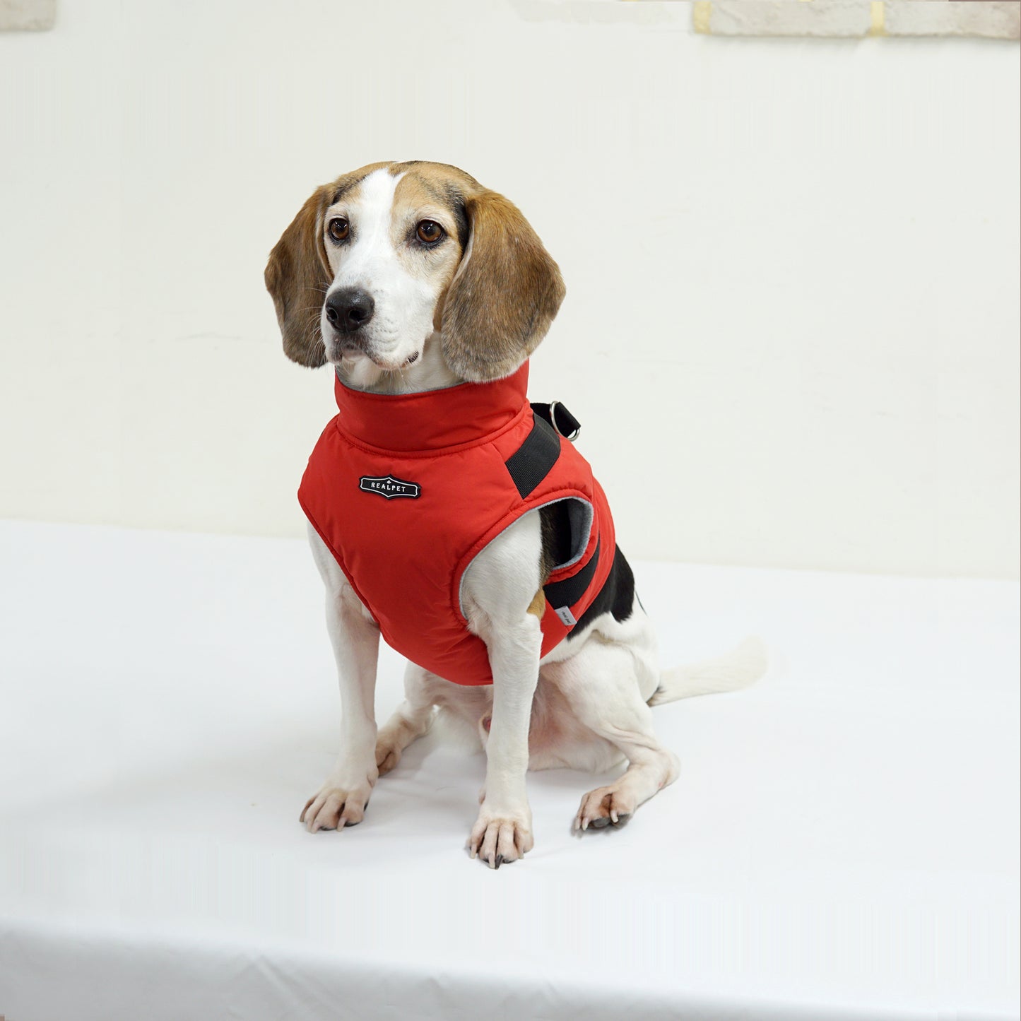 LARGE DOG PADDING HARNESS
