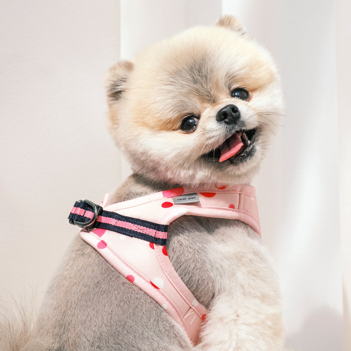 DOT SLIM HARNESS