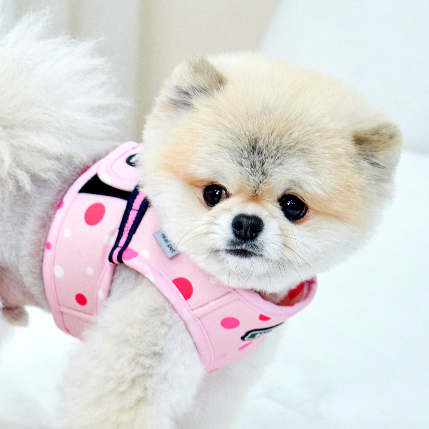 DOT VEST HARNESS