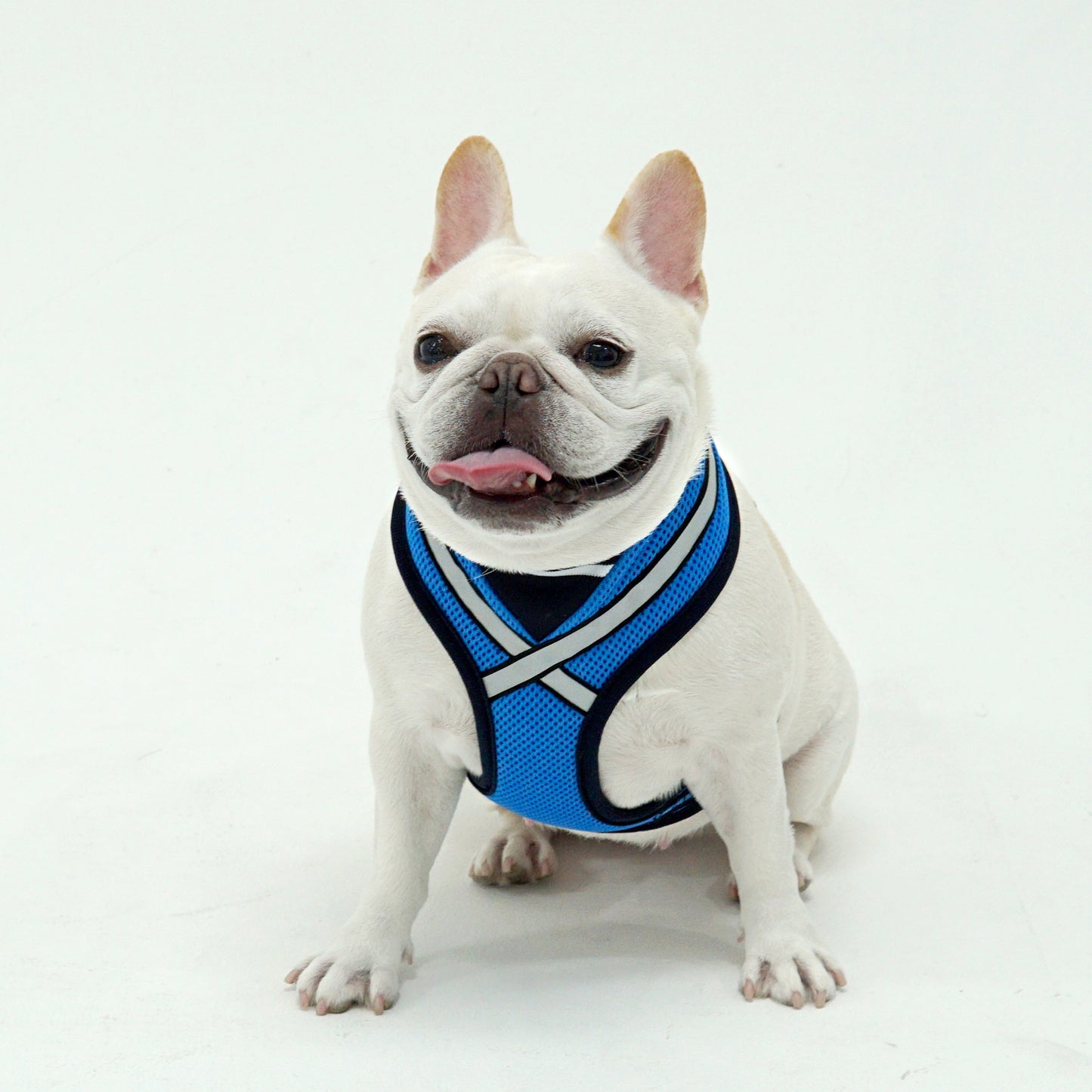 STRETCH 3M HARNESS