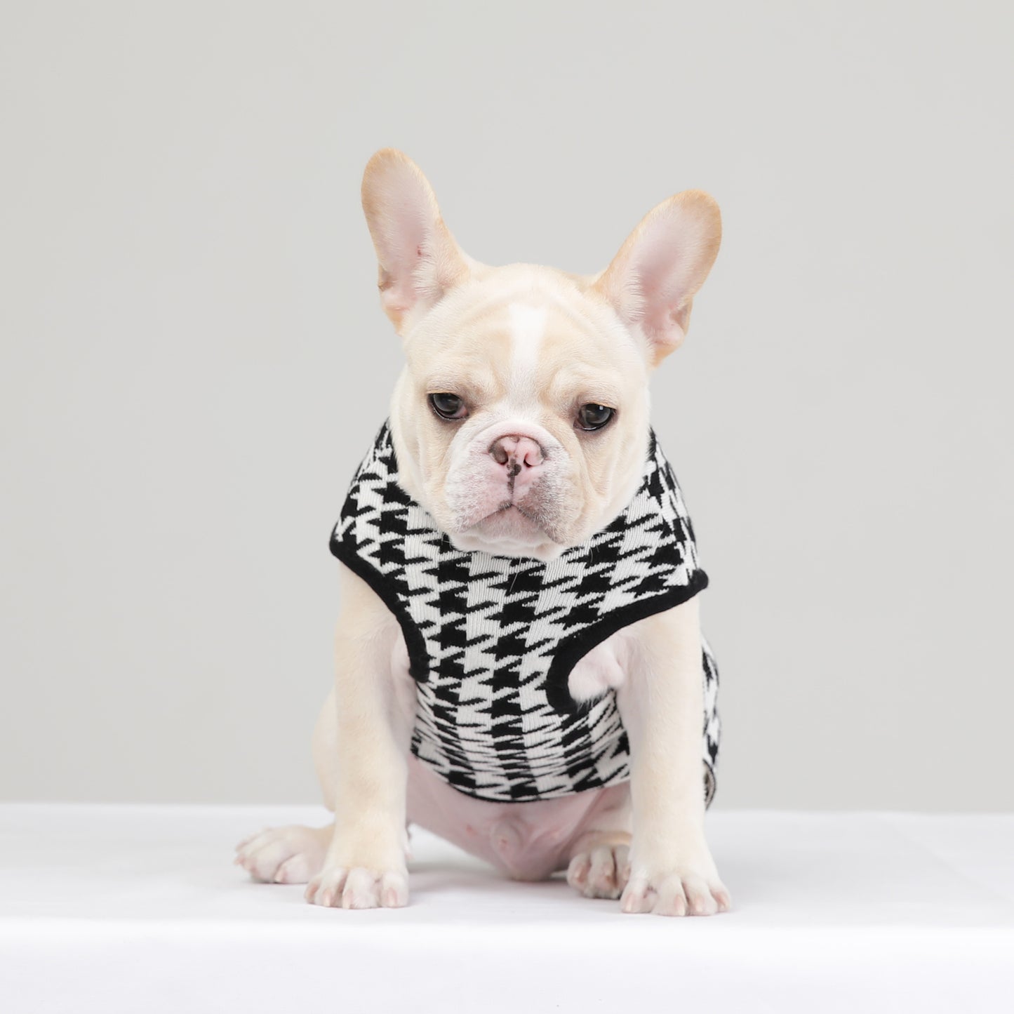 HOUND CHECK KNIT