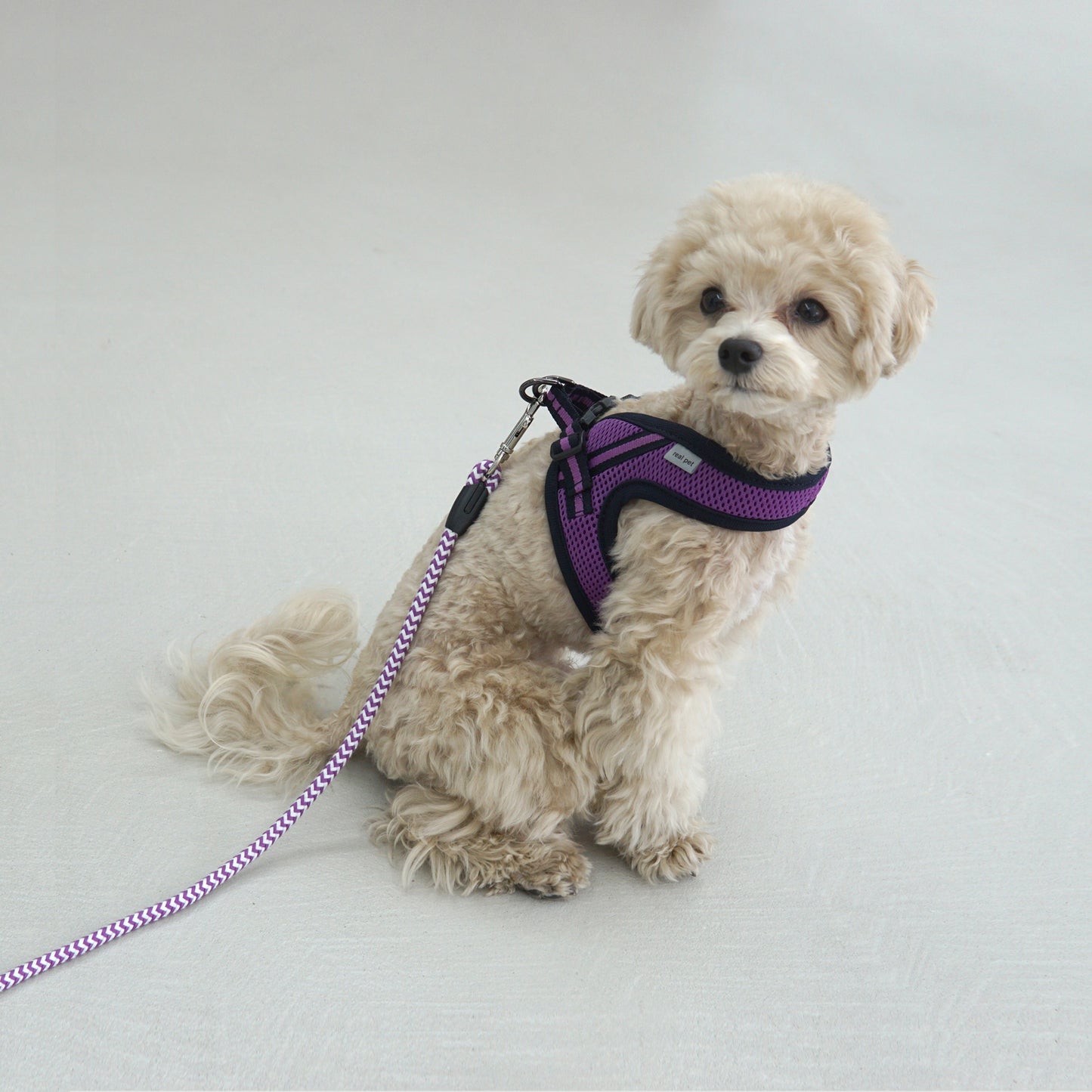 SIMPLY CONTROL HARNESS