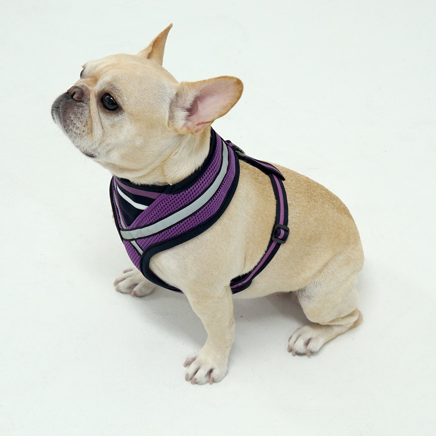 STRETCH 3M HARNESS