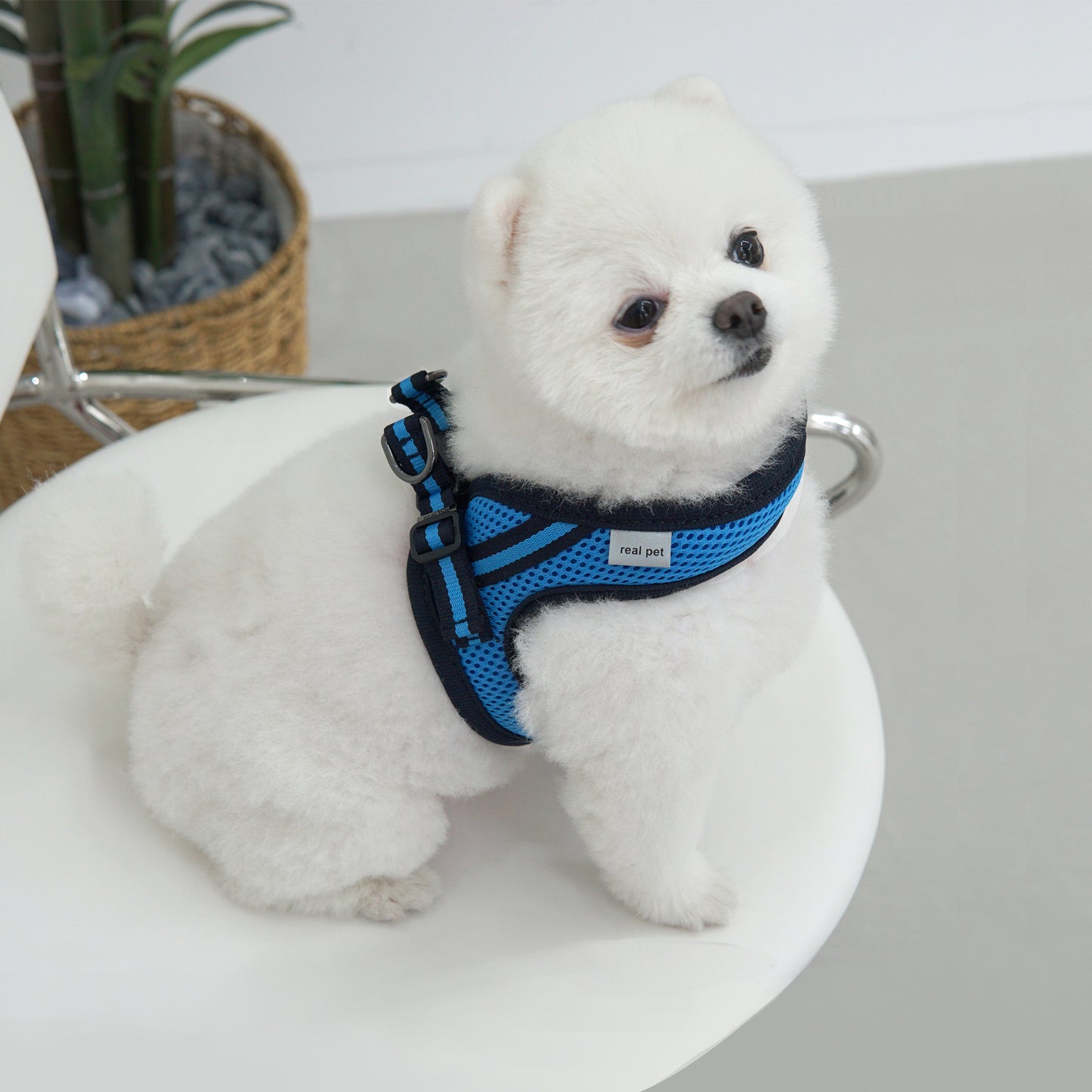 SIMPLY CONTROL HARNESS