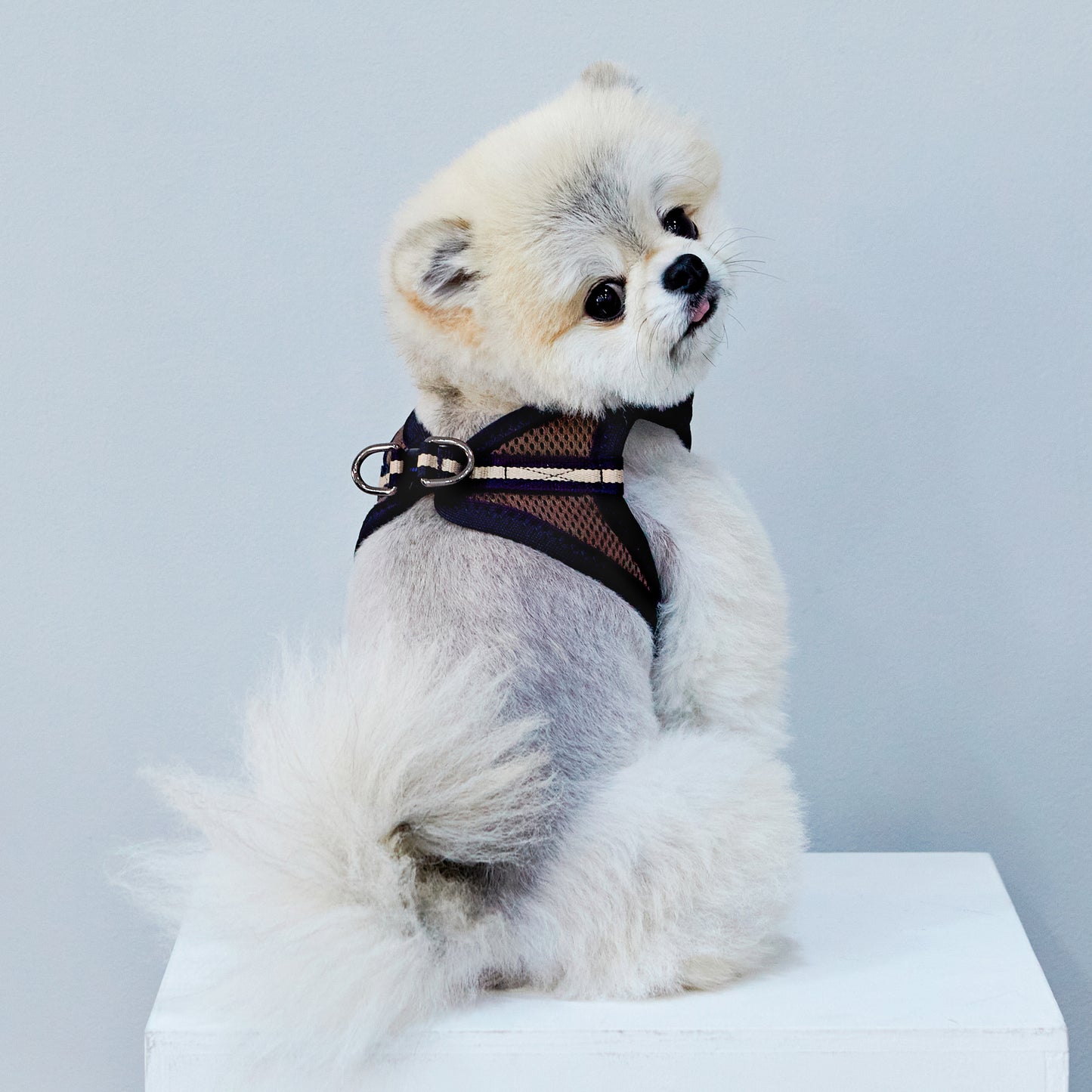 FOUR-SEASON SLIM VEST HARNESS