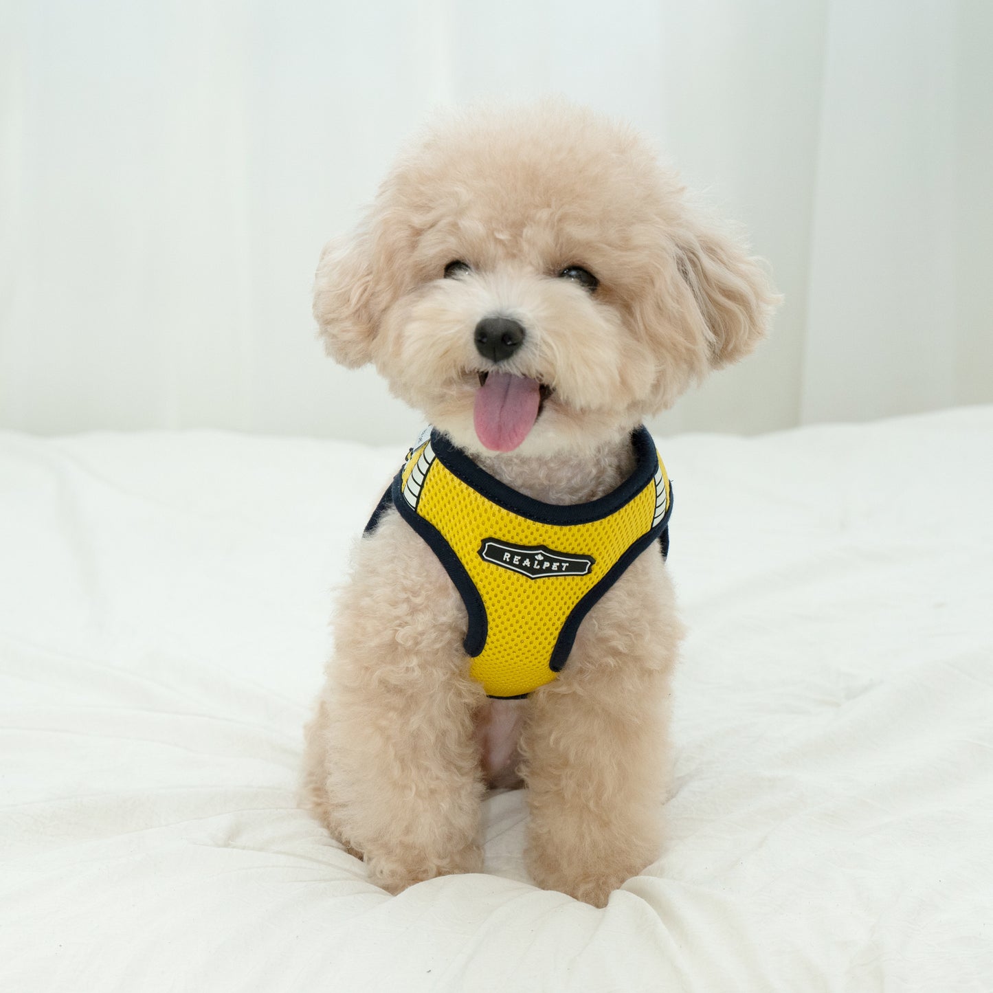 SAFE GLOW HARNESS
