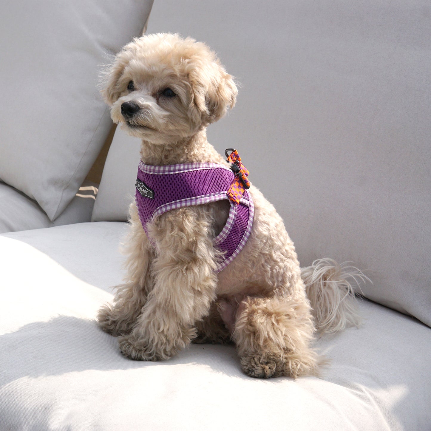 PASTEL CHECK HARNESS