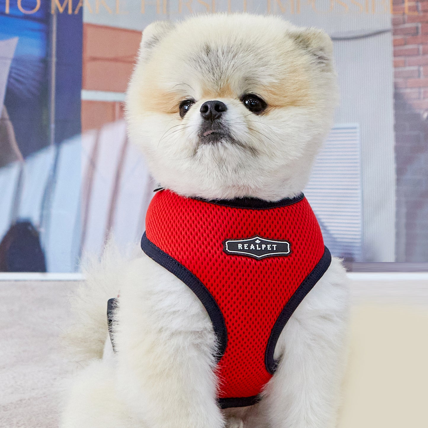 UNIQUE BOA HARNESS