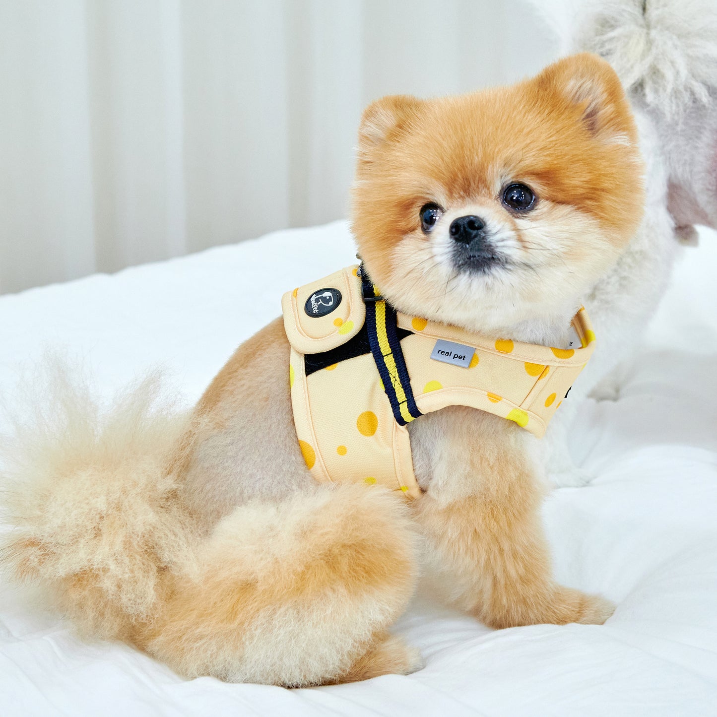 DOT VEST HARNESS
