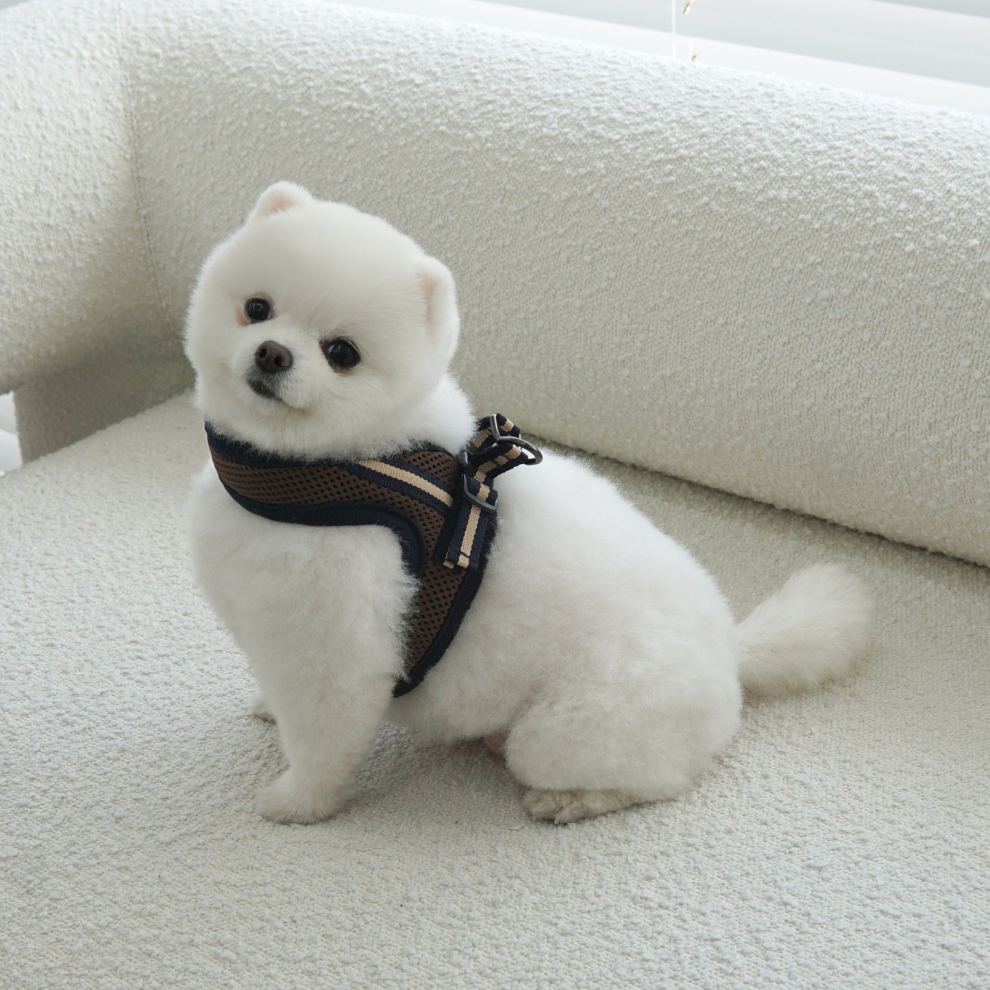 SIMPLY CONTROL HARNESS