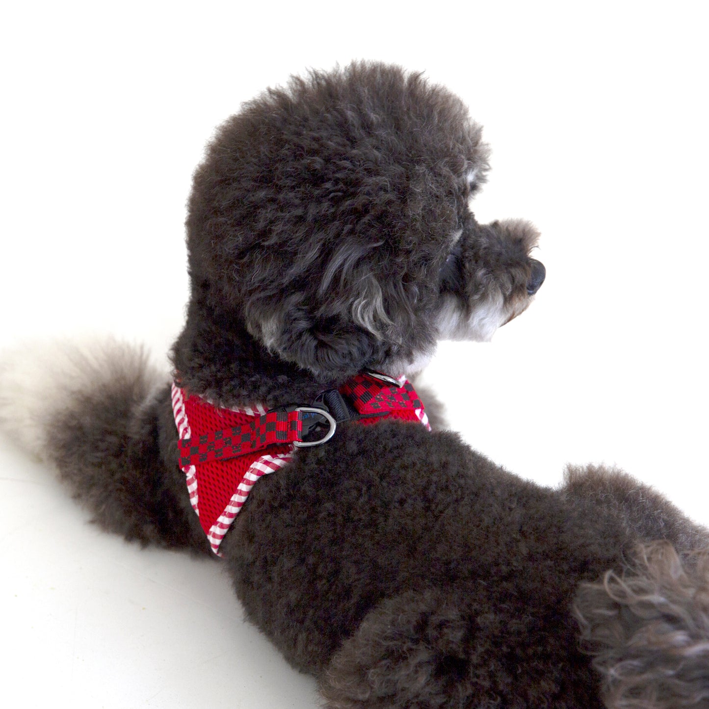 CHECK SLIM HARNESS
