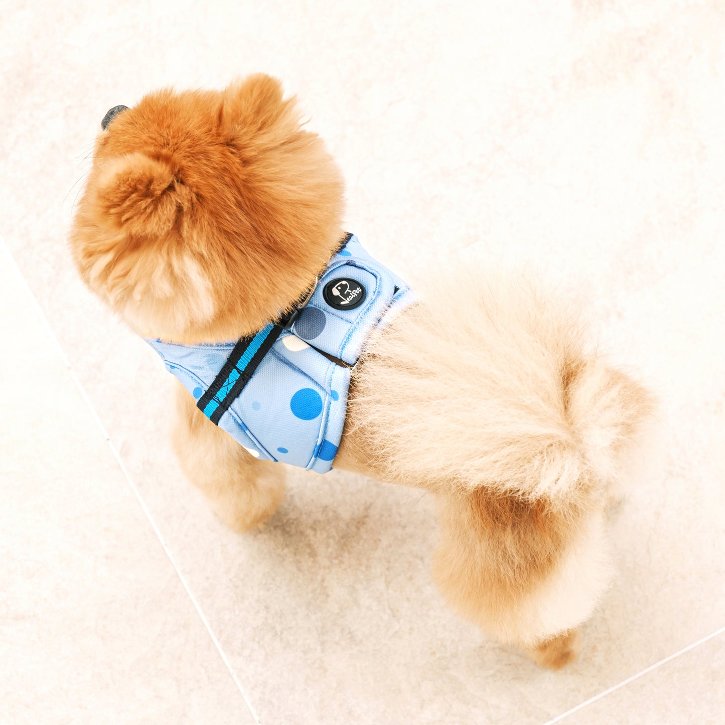 DOT VEST HARNESS