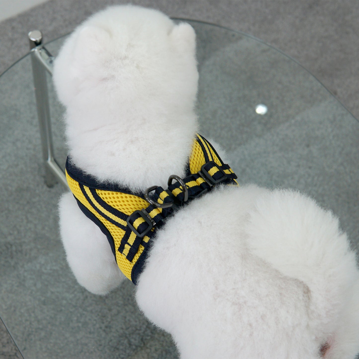 SIMPLY CONTROL HARNESS