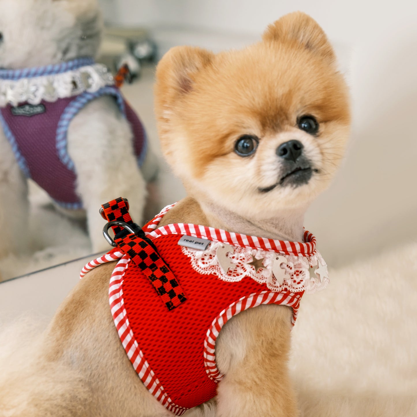 NECK LACE PENDANT HARNESS