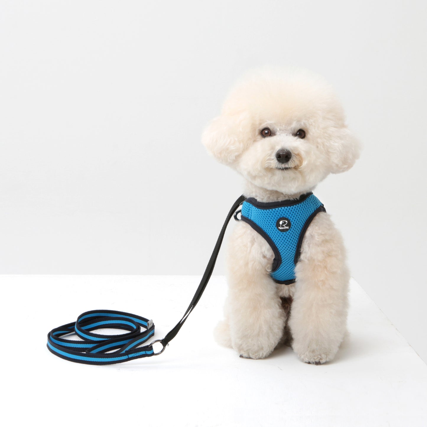 Dog Strong Vest Harness and Lead Set