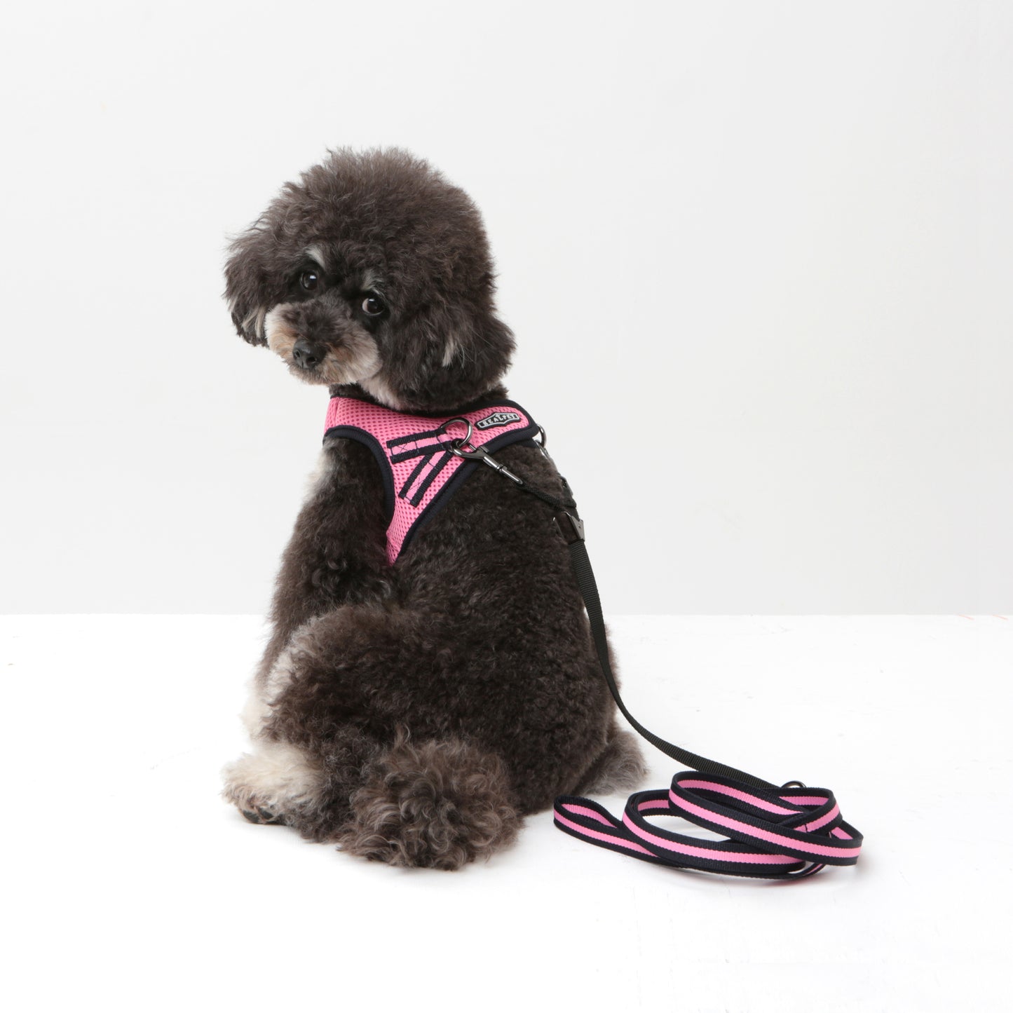 Dog Strong Vest Harness and Lead Set