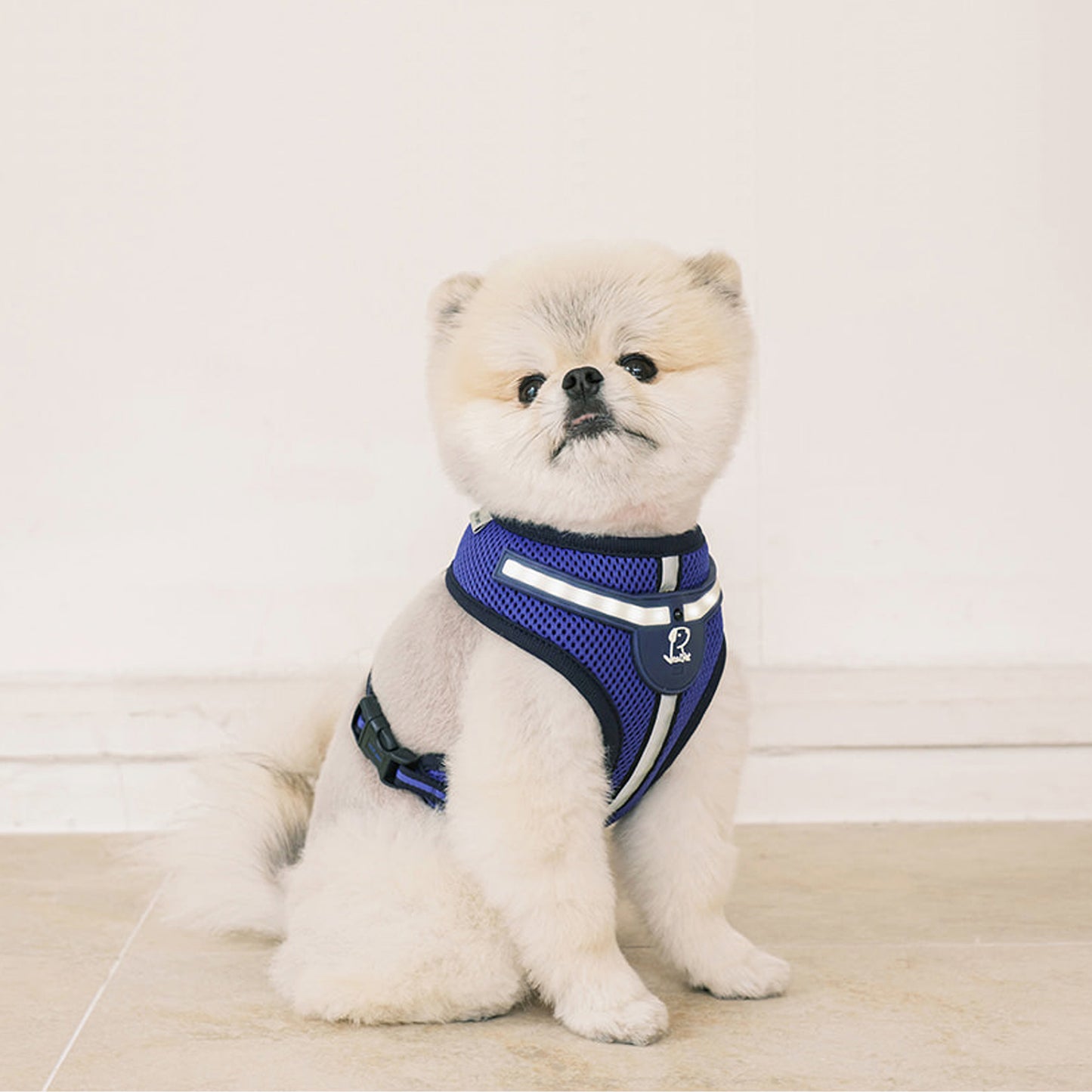 WHITE LED HARNESS