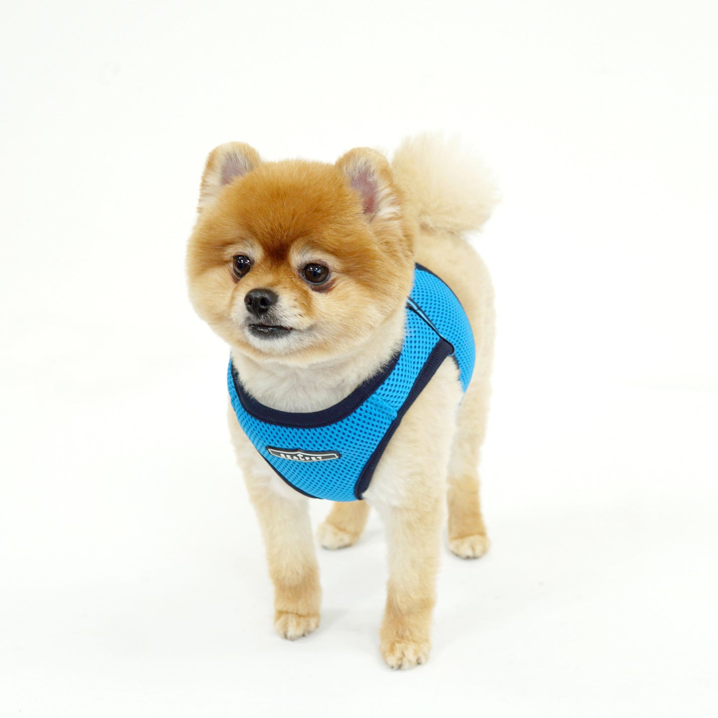FREE SAFE HARNESS
