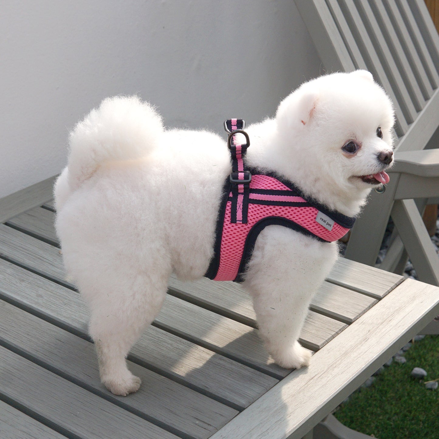 SIMPLY CONTROL HARNESS