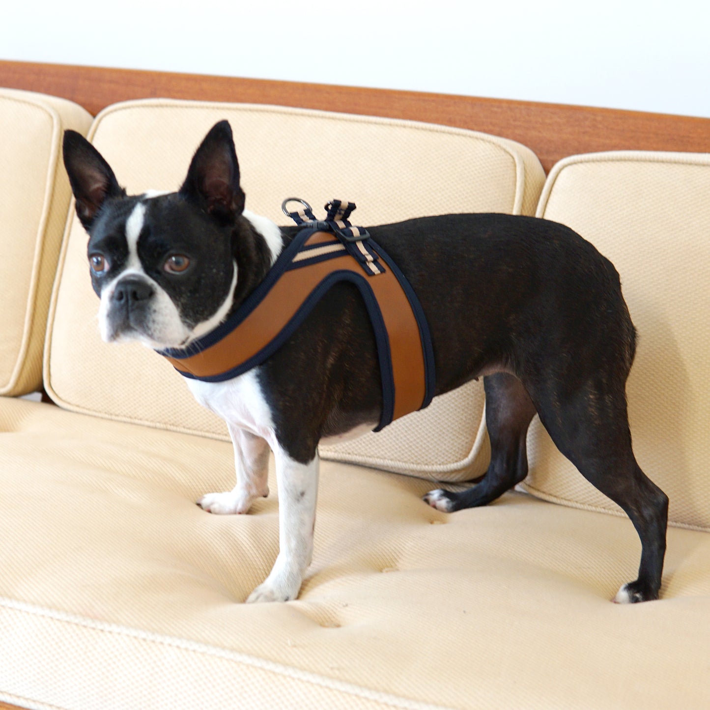 BOLD LEATHER HARNESS