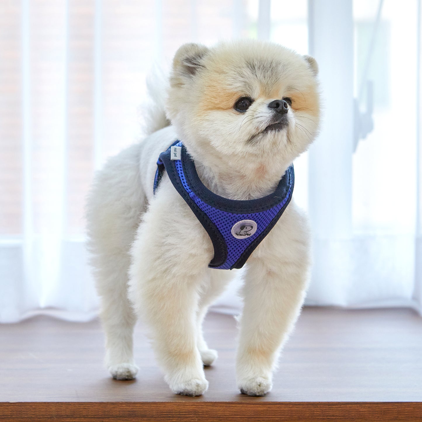 FOUR-SEASON SLIM VEST HARNESS