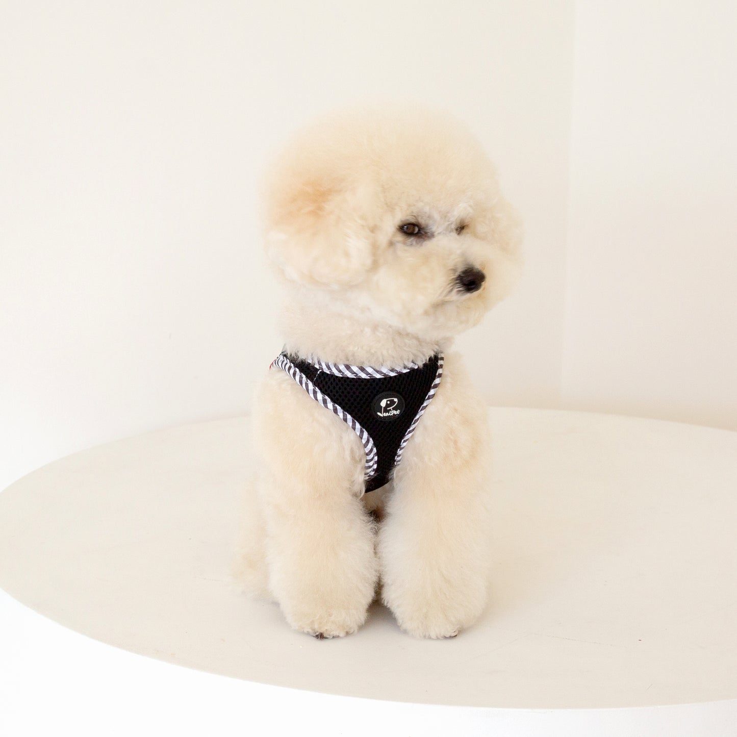 CHECK SLIM HARNESS