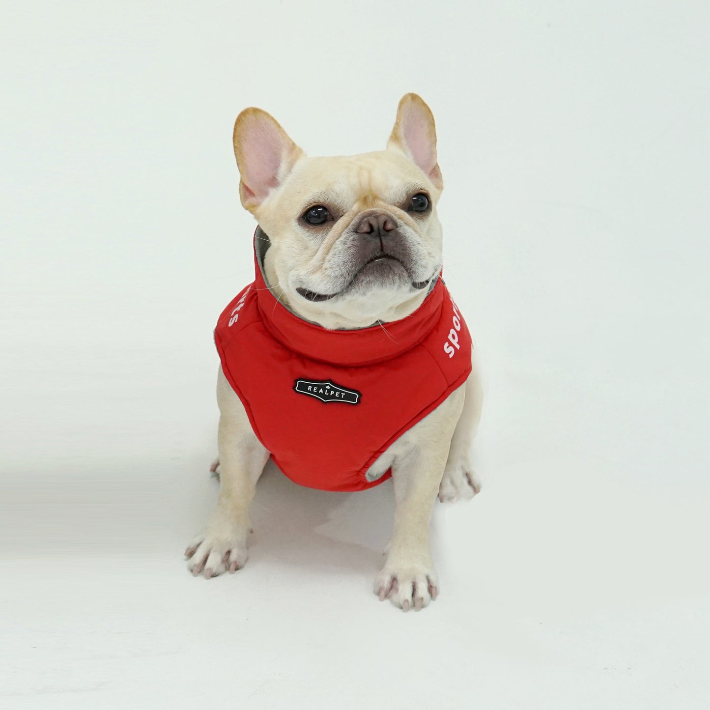 SPORT SHORT PADDING HARNESS