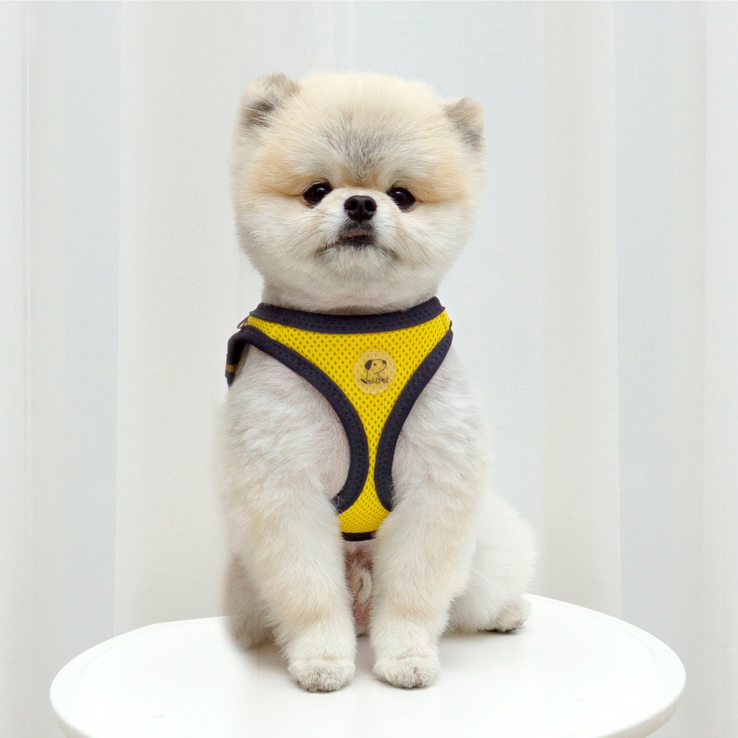 FOUR-SEASON SLIM VEST HARNESS