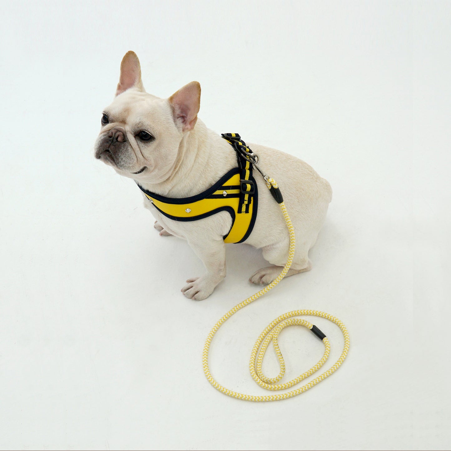STUD HARNESS