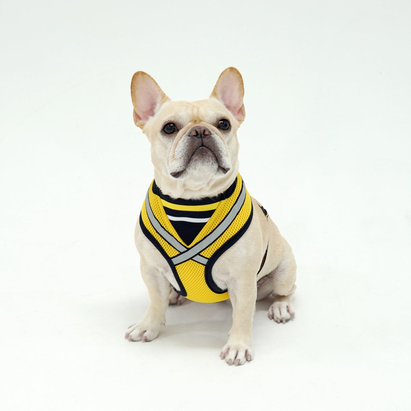 STRETCH 3M HARNESS