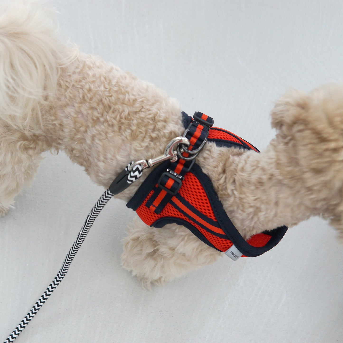 SIMPLY CONTROL HARNESS