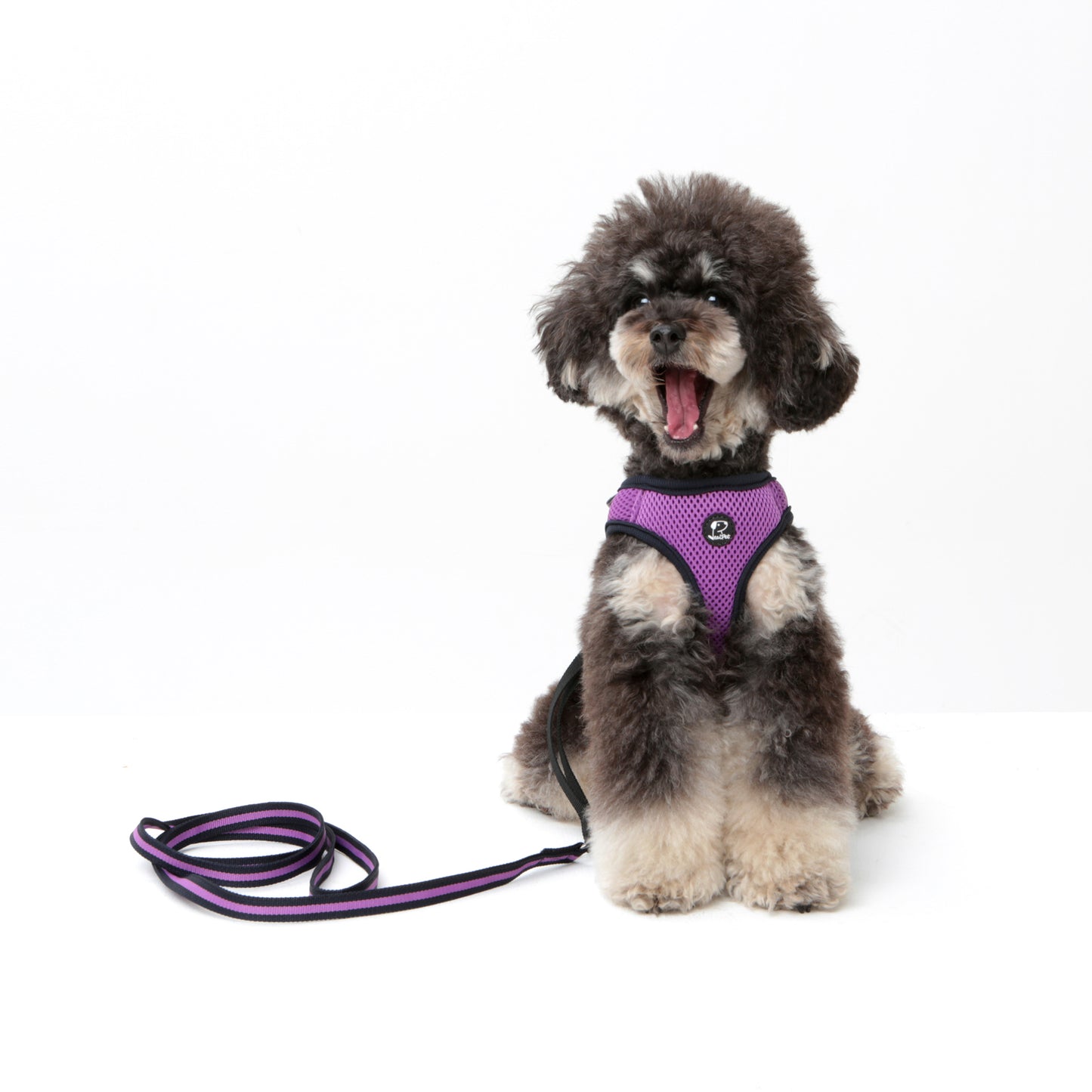 Dog Strong Vest Harness and Lead Set