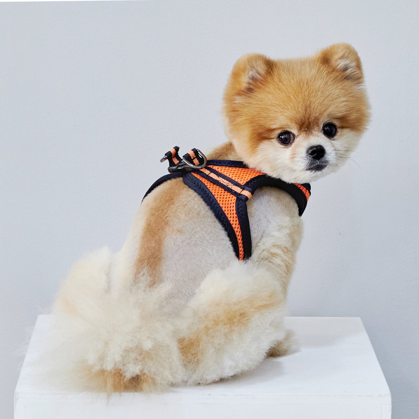 FOUR-SEASON SLIM VEST HARNESS