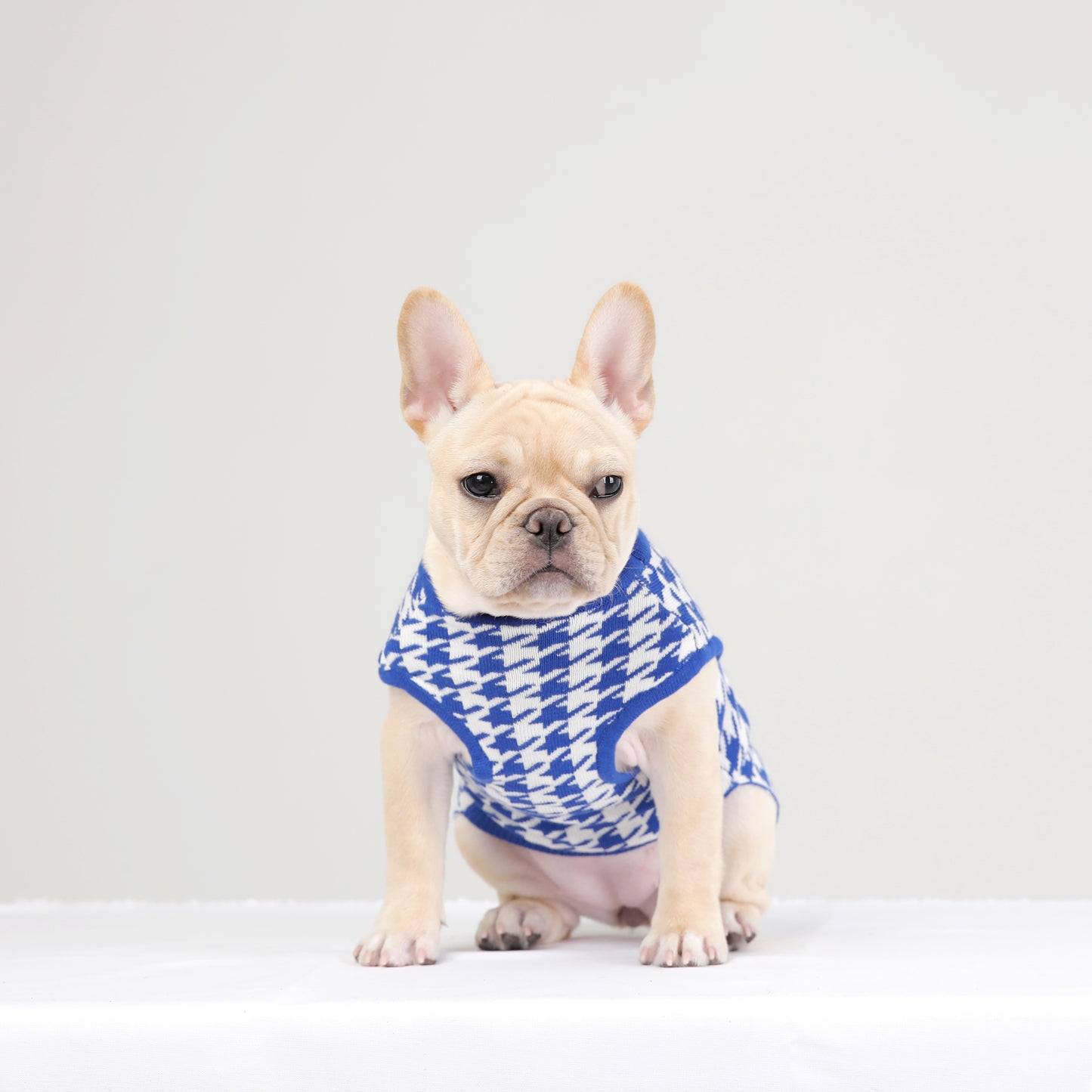 HOUND CHECK KNIT