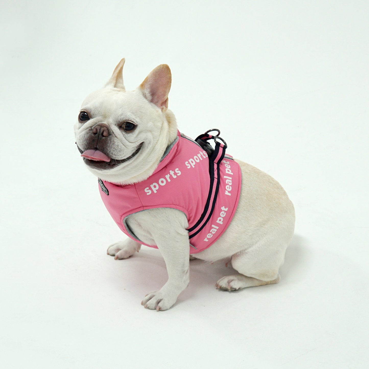 SPORT SHORT PADDING HARNESS