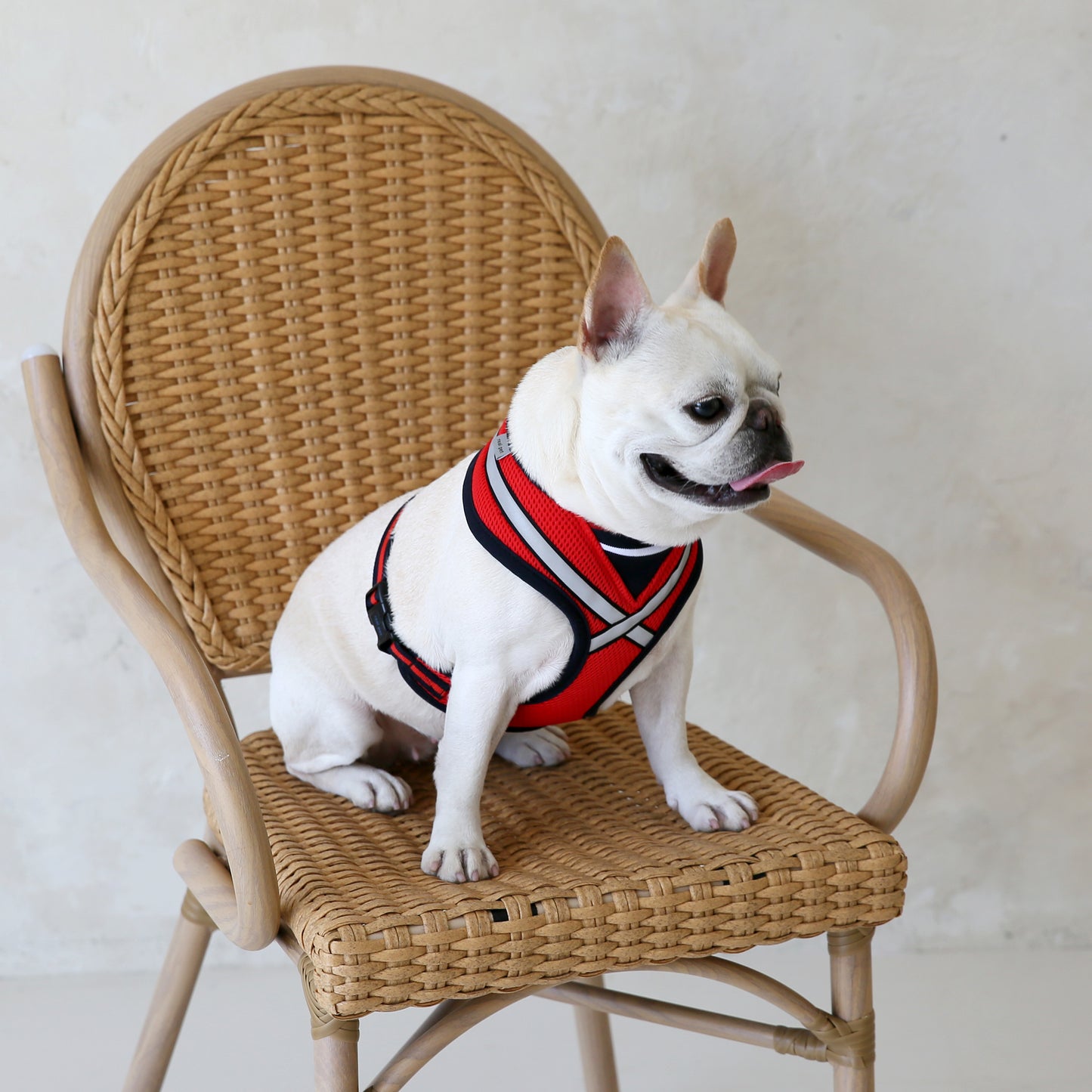 STRETCH 3M HARNESS