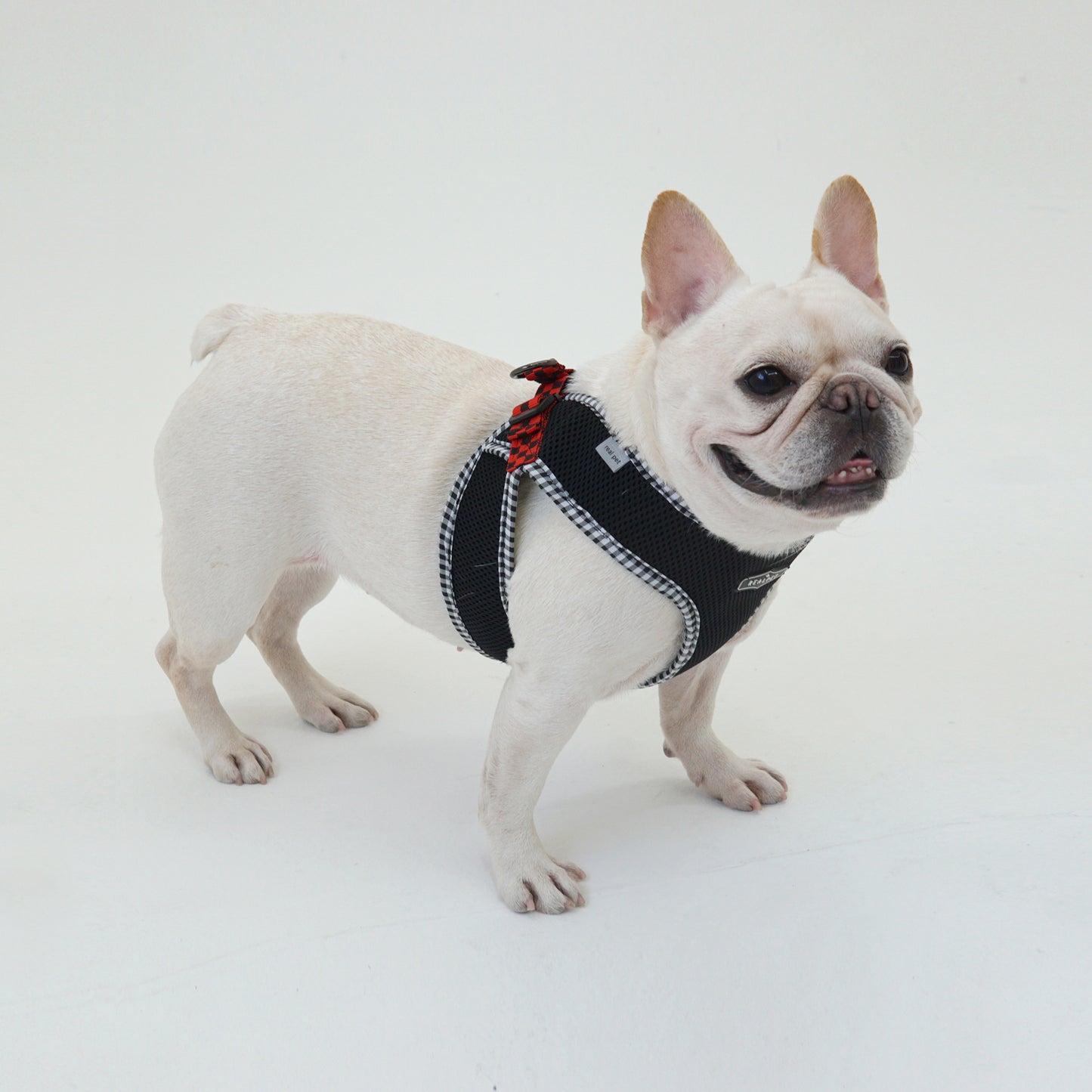 PASTEL CHECK HARNESS