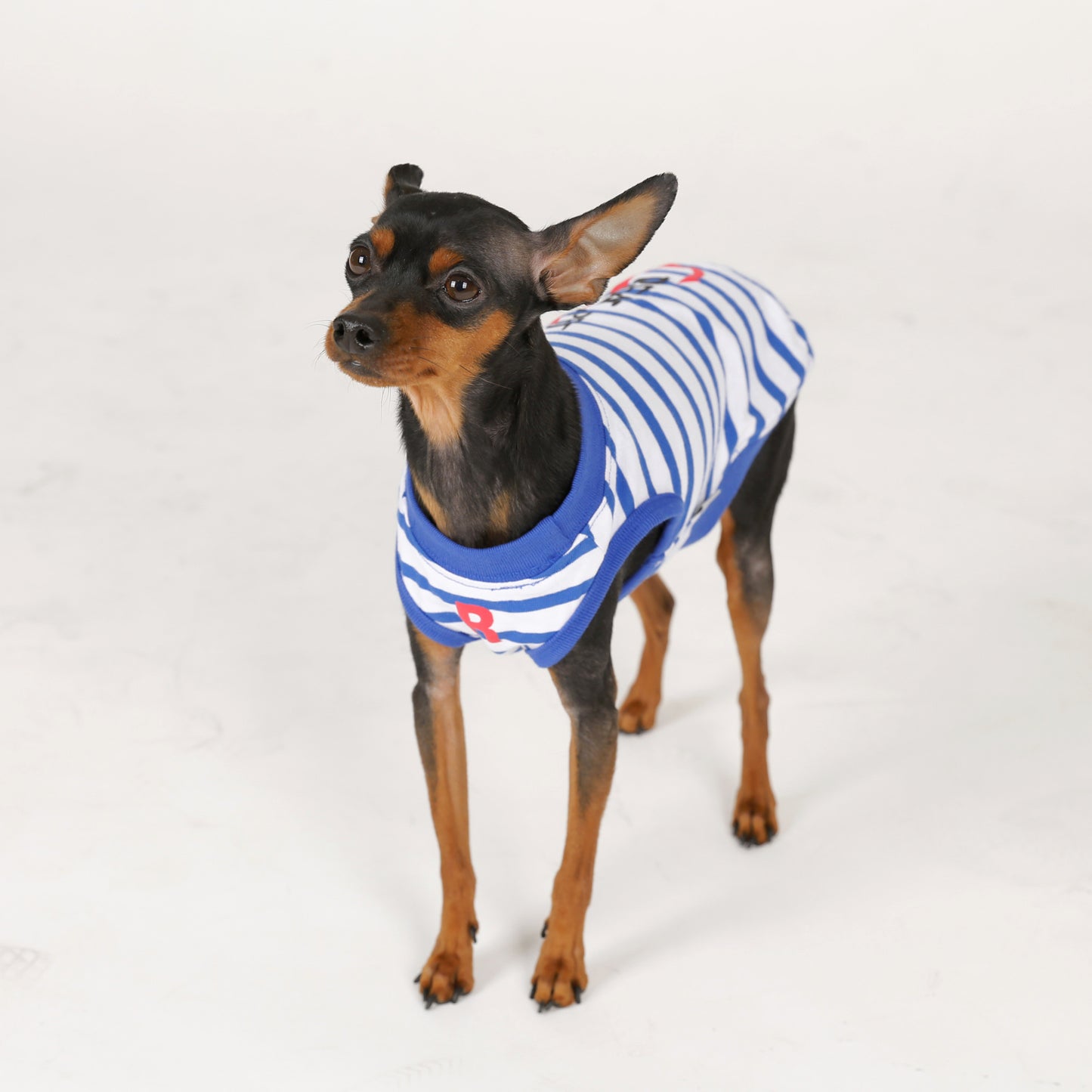 MARINE STRIPE ROUND