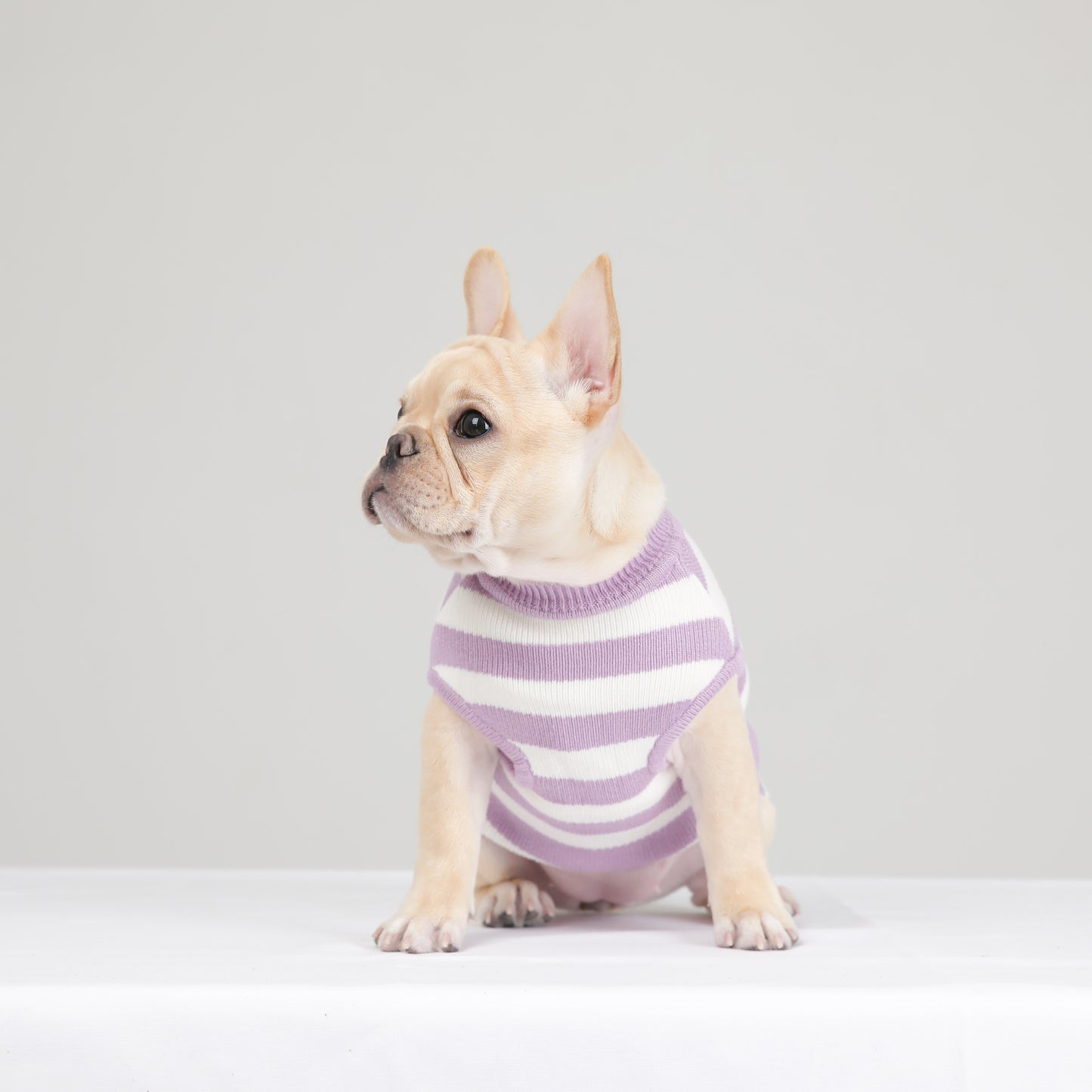 STRIPE KNIT