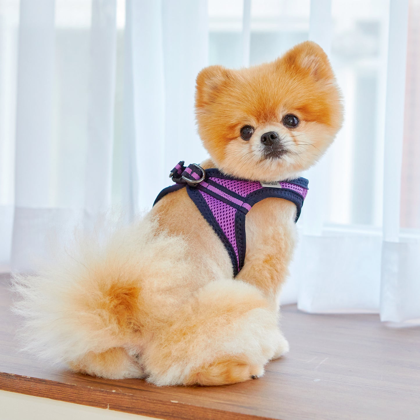 FOUR-SEASON SLIM VEST HARNESS