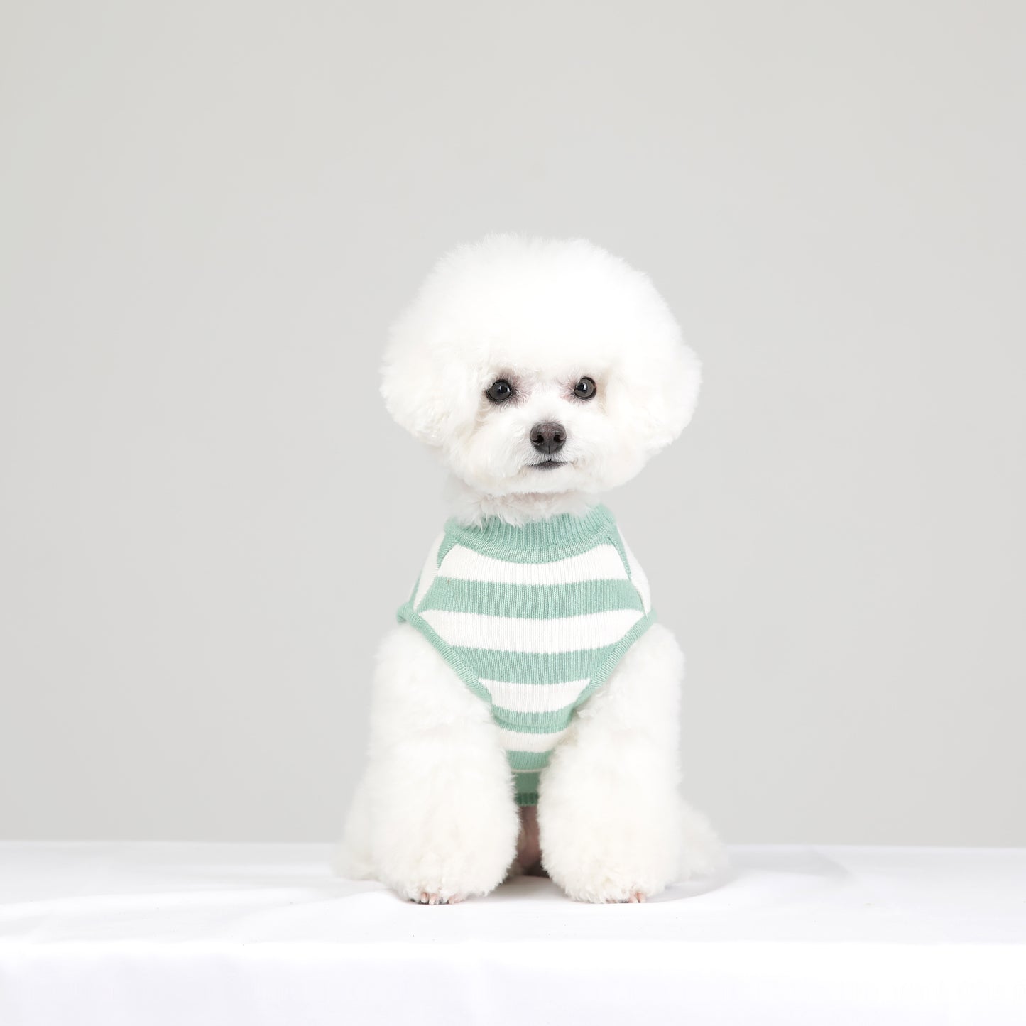 STRIPE KNIT