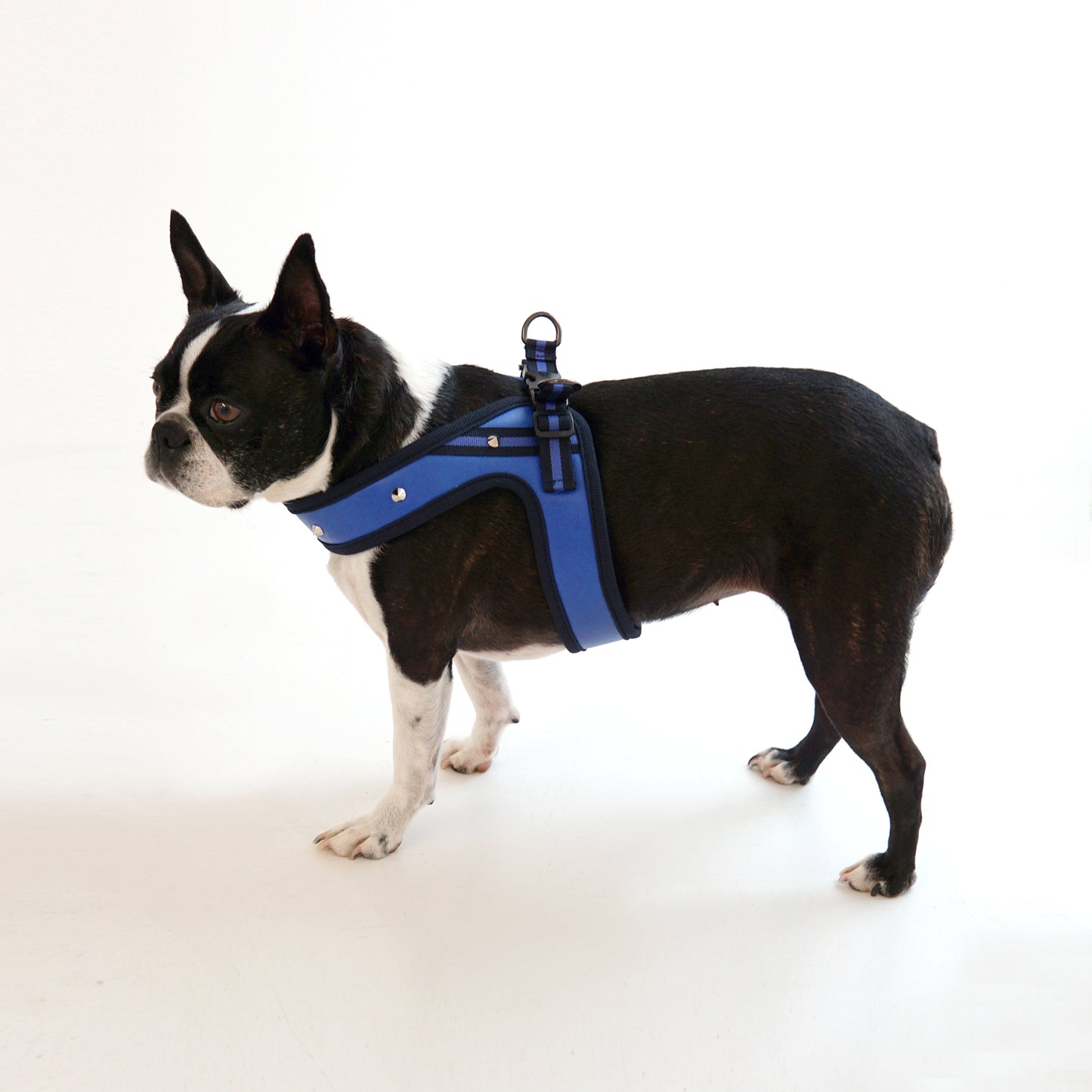 STUD HARNESS