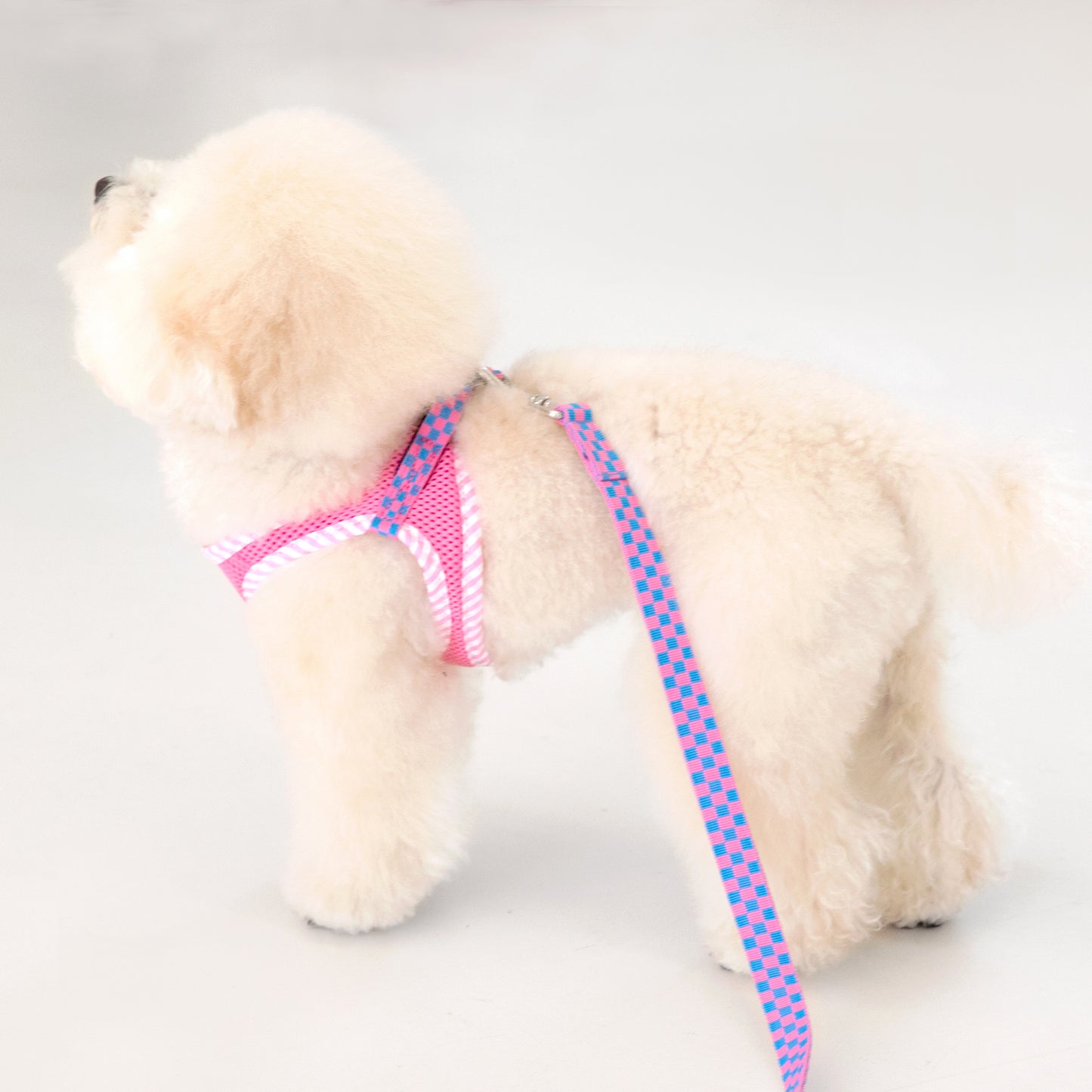 CHECK SLIM HARNESS