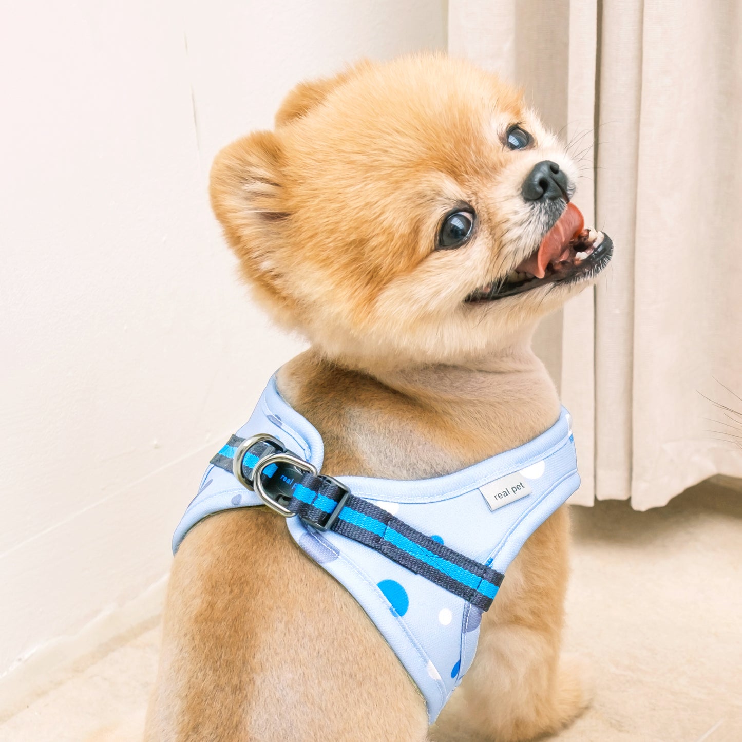 DOT SLIM HARNESS