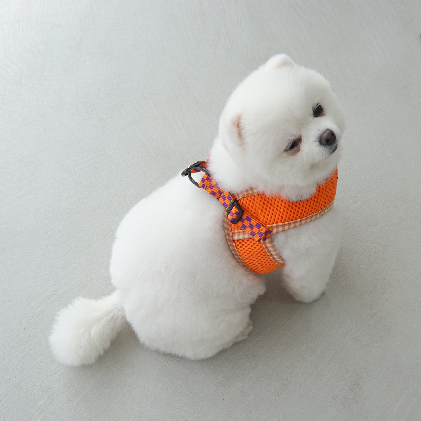 PASTEL CHECK HARNESS