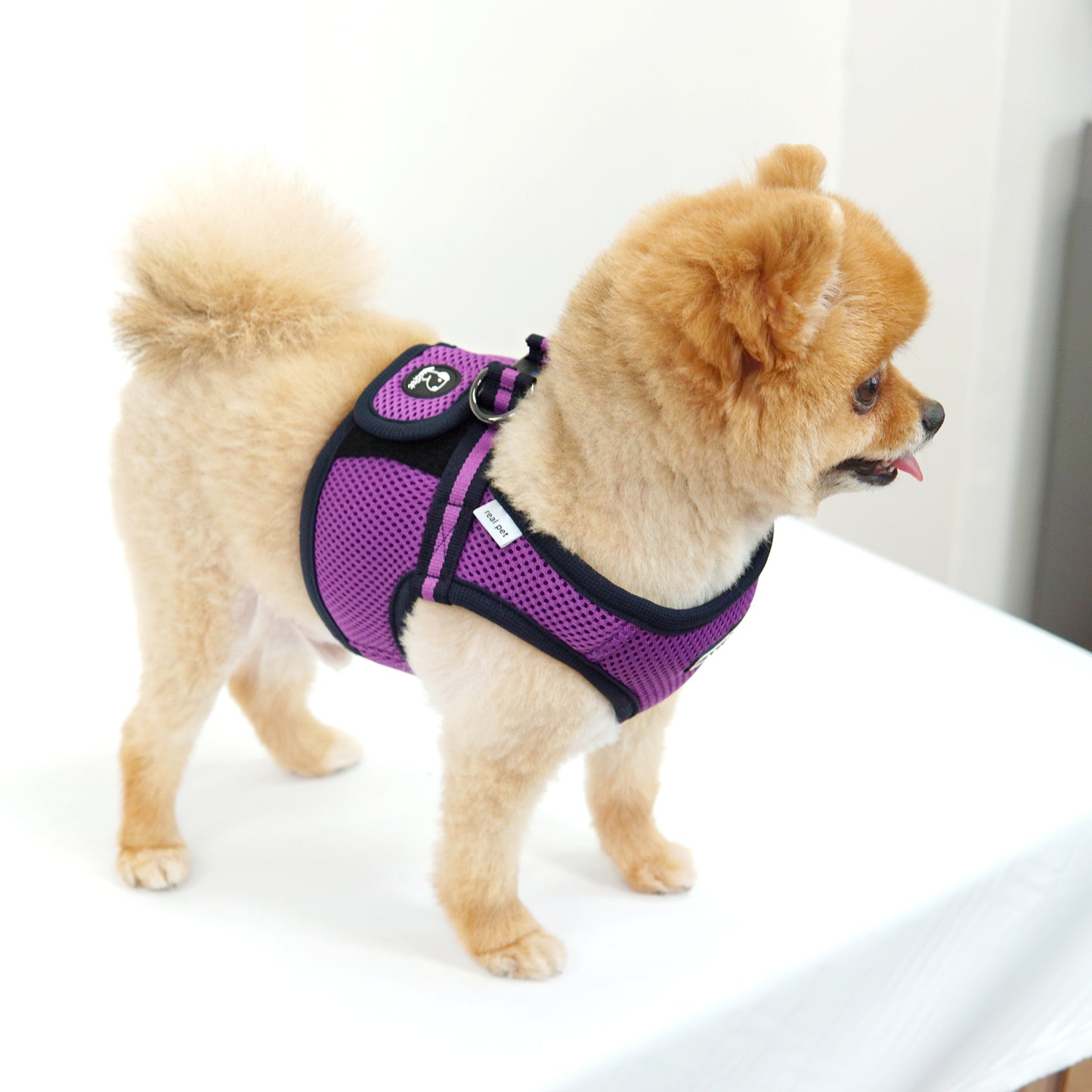 FREE SAFE HARNESS