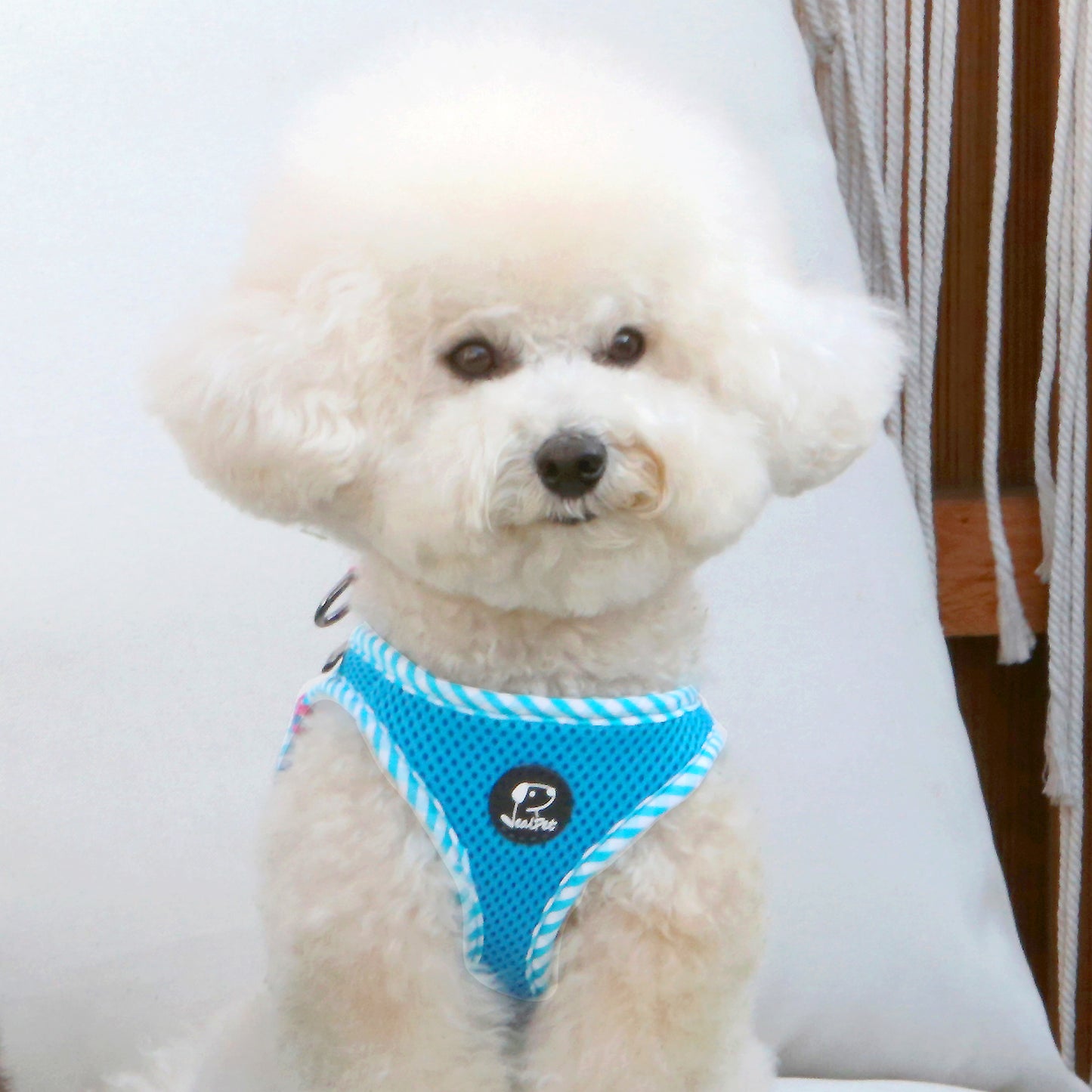 CHECK SLIM HARNESS