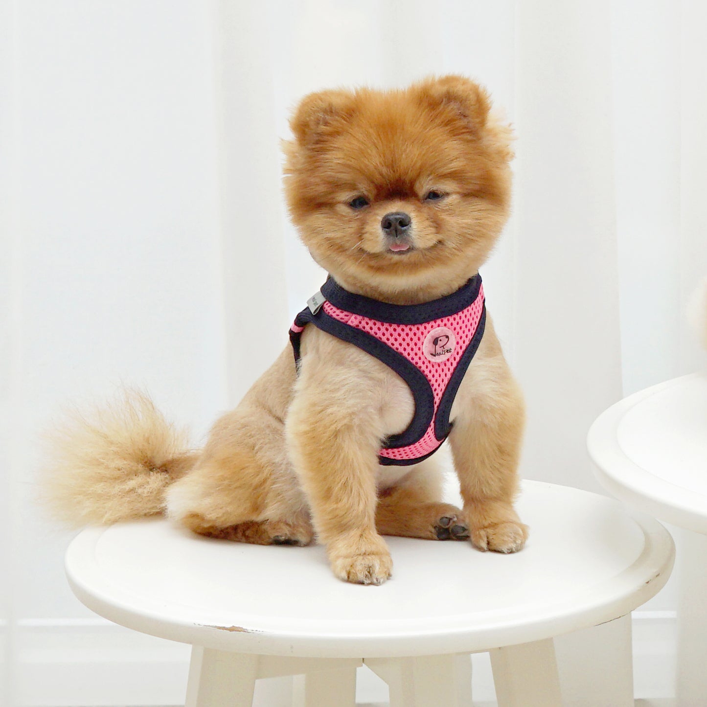 FOUR-SEASON SLIM VEST HARNESS