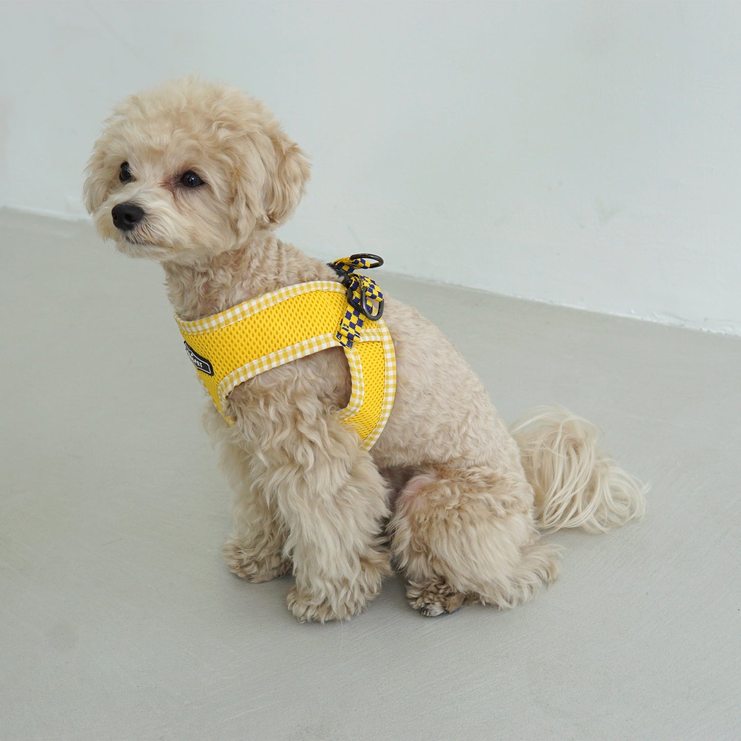 PASTEL CHECK HARNESS